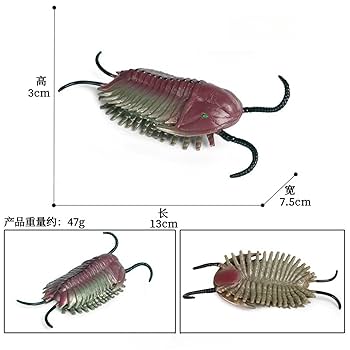 三葉虫 フィギュア Amazon | EUHELOPA 三葉虫 トライロバイト 節足動物 リアル